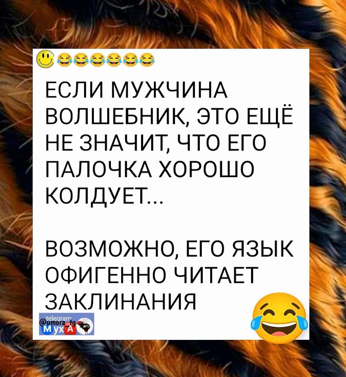 ЕСЛИ МУЖЧИНА ВОЛШЕБНИК, ЭТО ЕЩЁ НЕ ЗНАЧИТ, ЧТО ЕГО ПАЛОЧКА ХОРОШО КОЛДУЕТ...
ВОЗМОЖНО, ЕГО ЯЗЫК ОФИГЕННО ЧИТАЕТ ЗАКЛИНАНИЯ