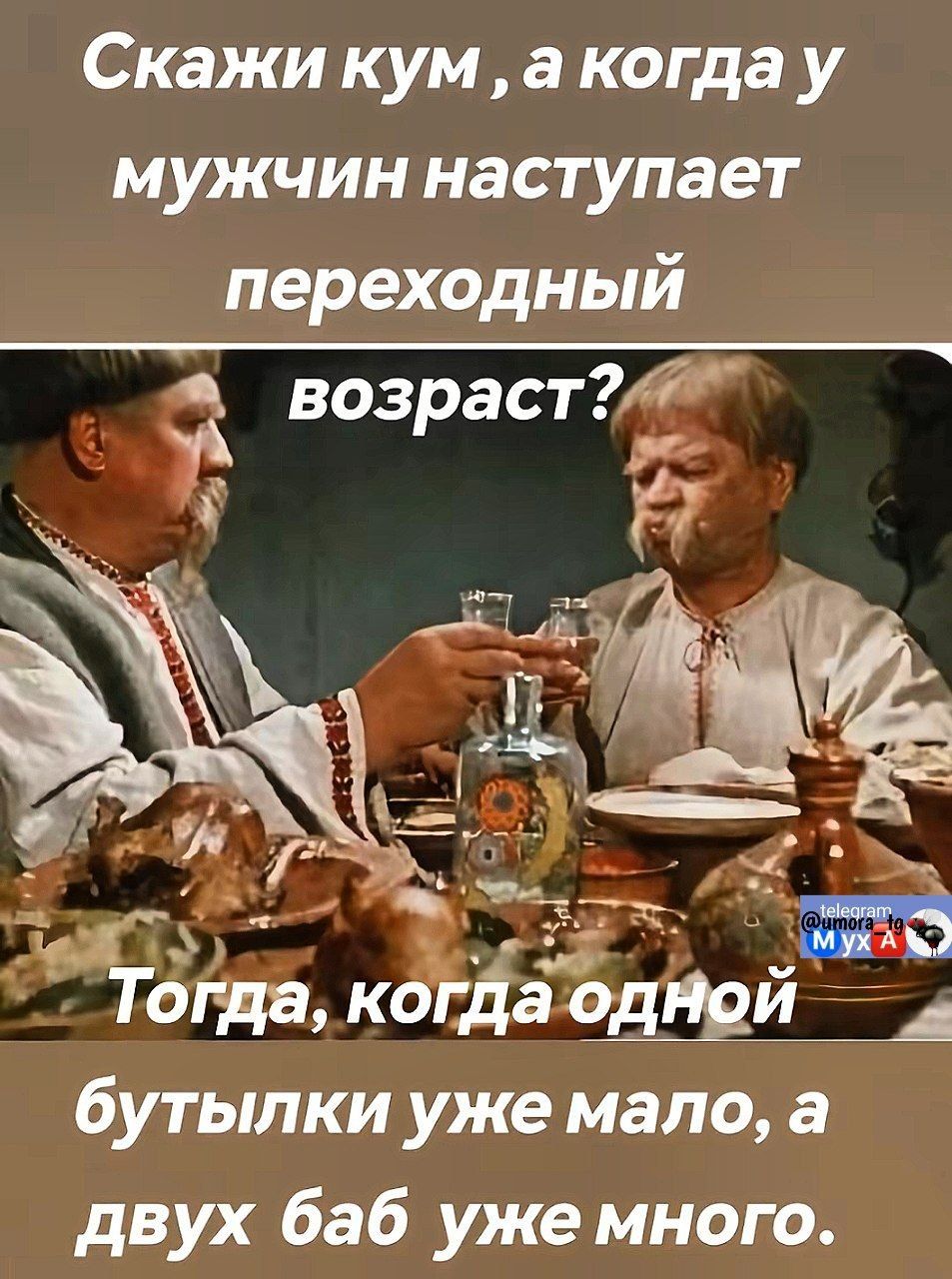 Скажи кум, а когда у мужчин наступает переходный возраст? Тогда, когда одной бутылки уже мало, а двух баб уже много.