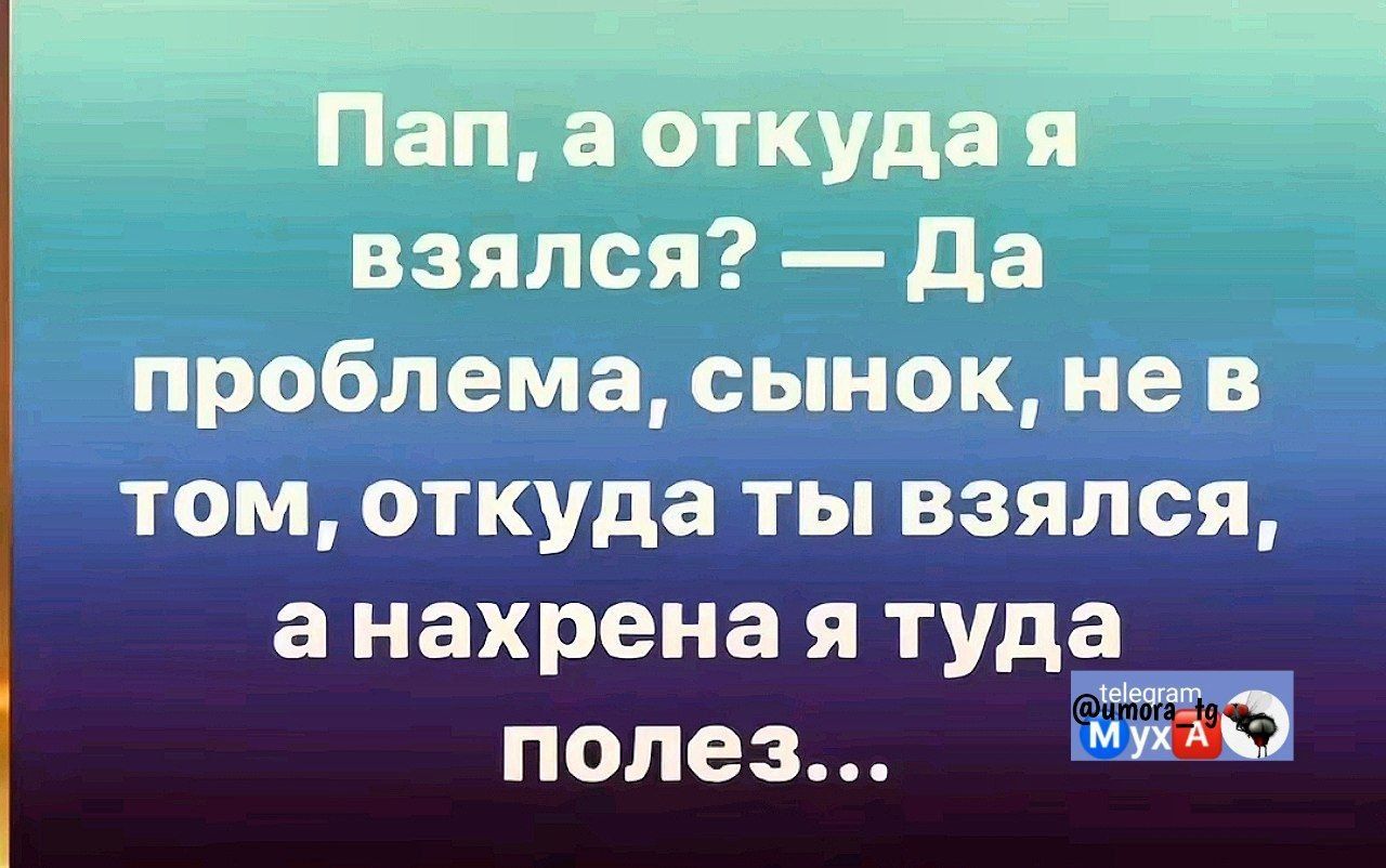 Пап, а откуда я взялся? — Да проблема, сынок, не в том, откуда ты взялся, а нахрена я туда полез...