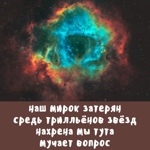 наш мирок затерян среди триллионов звёзд нахрена мы тут мучает вопрос