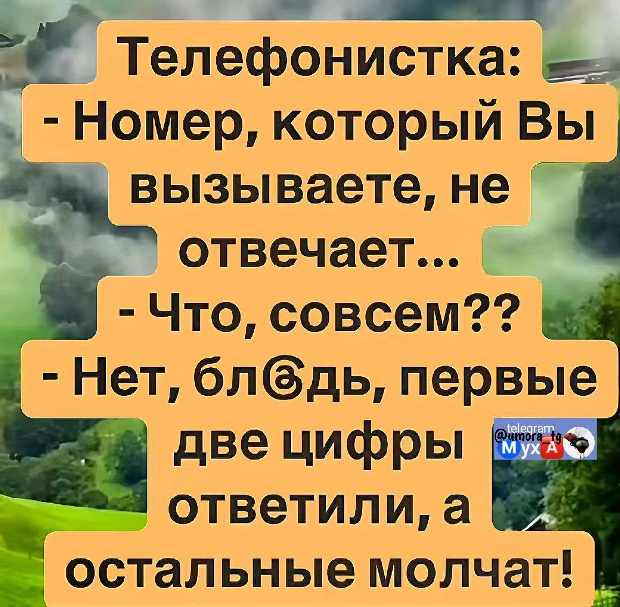Телефоністка: - Номер, який Ви викликаєте, не відповідає... - Що, зовсім?? - Ні, бл***, перші дві цифри відповіли, а решта мовчать!
