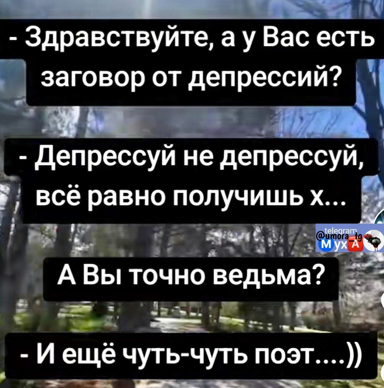 Здравствуйте, а у Вас есть заговор от депрессий?
- Депрессуй не депрессуй, всё равно получишь х...
А Вы точно ведьма?
- И ещё чуть-чуть поэт....))