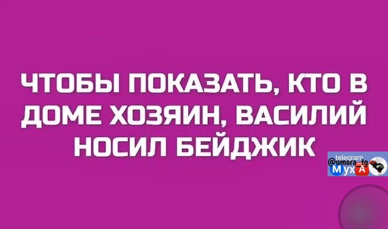 ЧТОБЫ ПОКАЗАТЬ, КТО В ДОМЕ ХОЗЯИН, ВАСИЛИЙ НОСИЛ БЕЙДЖИК