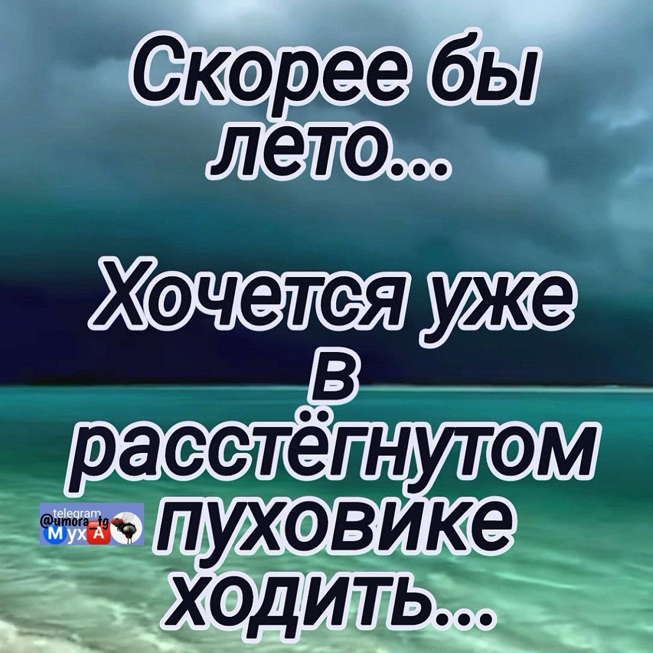 Скорее бы лето...
Хотеться уже в расстёгнутом пуховике ходить...