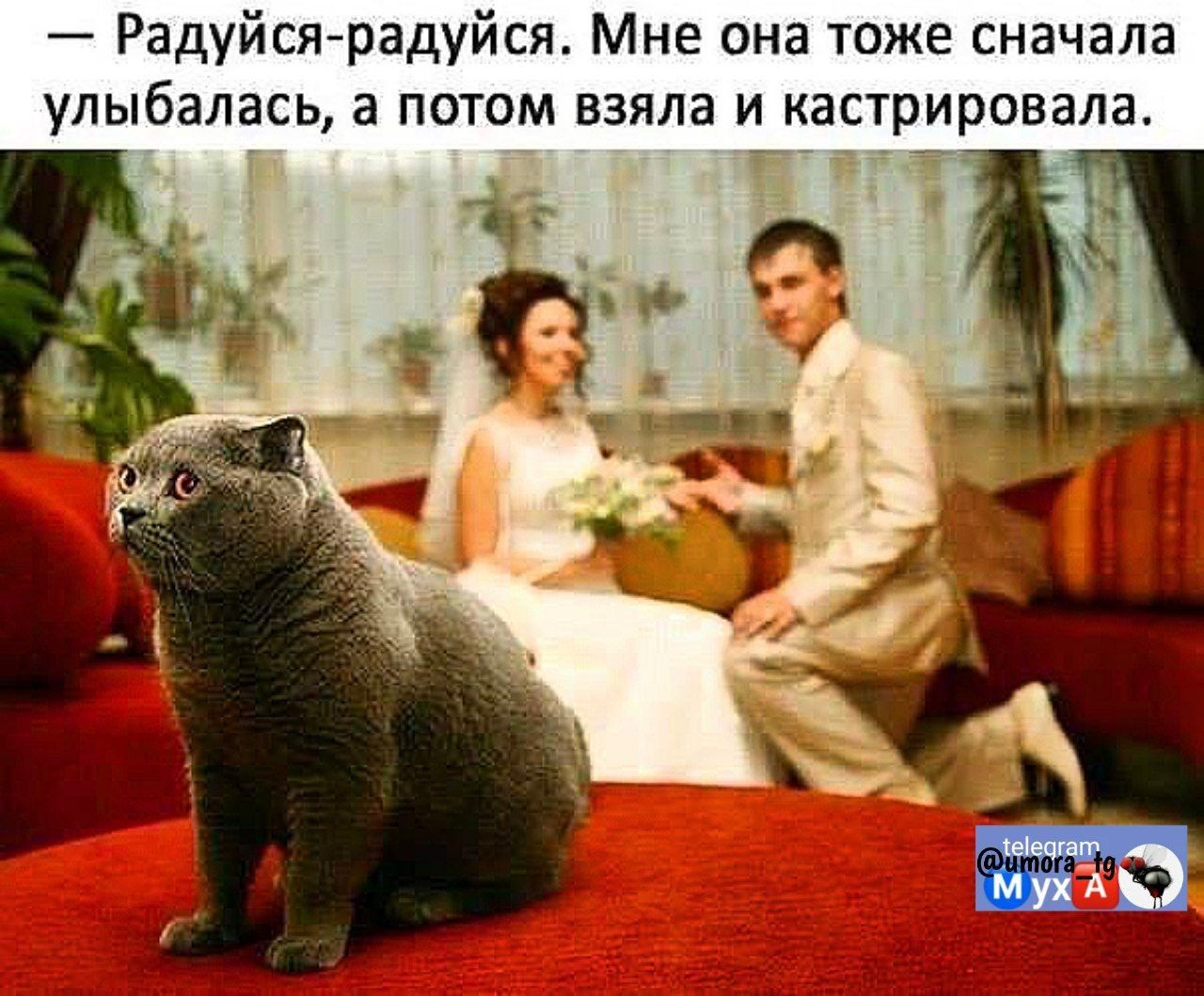 — Радуйся-радуйся. Мне она тоже сначала улыбалась, а потом взяла и кастрировала.