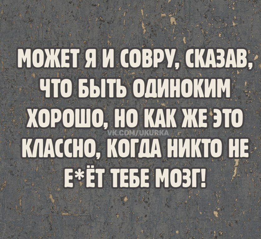 может я и совру, сказав, что быть одиноким хорошо, но как же это классно, когда никто не е*ёт тебе мозг!