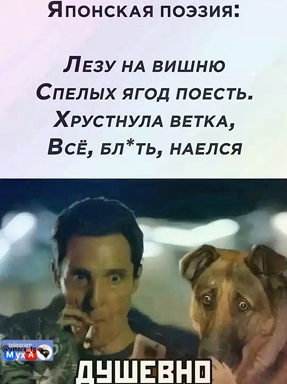 Японская поэзия:
Лезу на вишню
Спелых ягод поесть.
Хрустнула ветка,
Всё, бл*ть, наелся
ДУШЕВНО