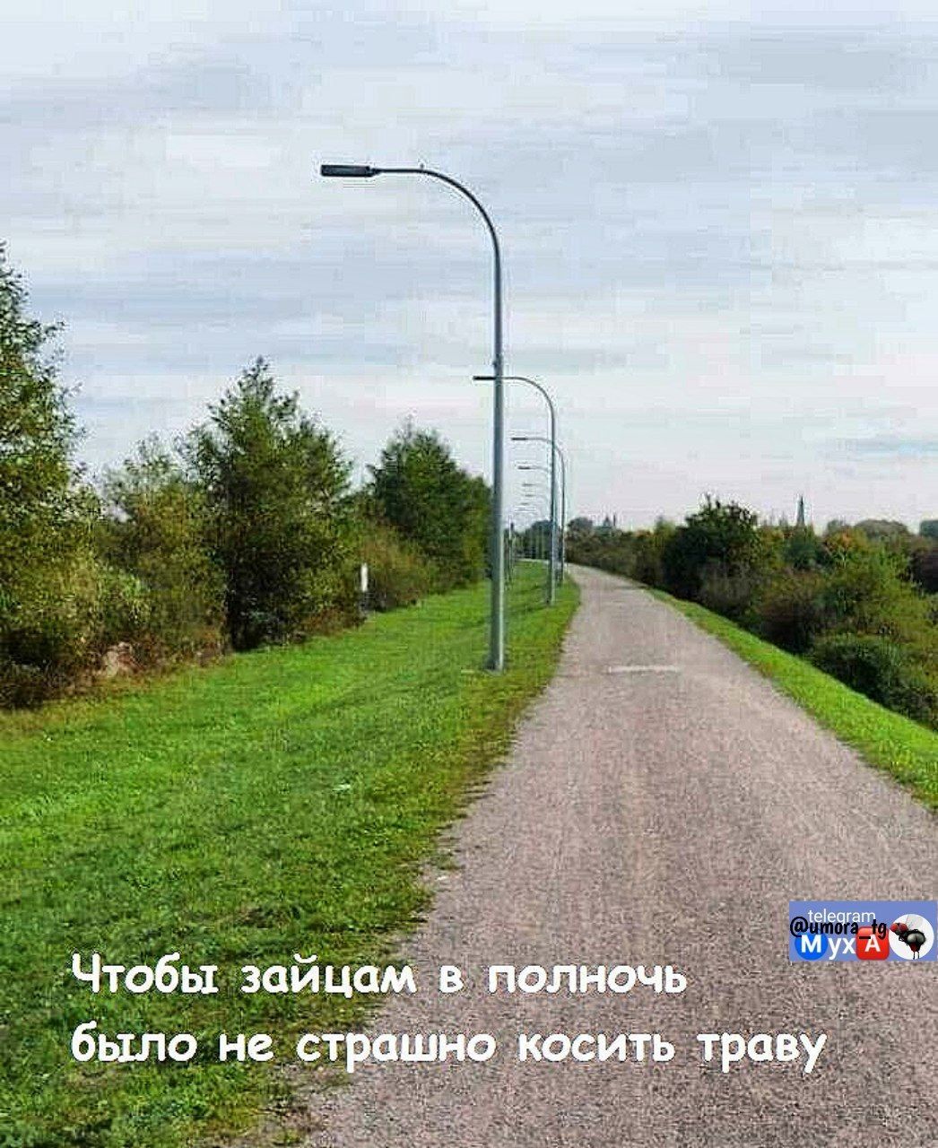 Чтобы зайцам в полночь было не страшно косить траву