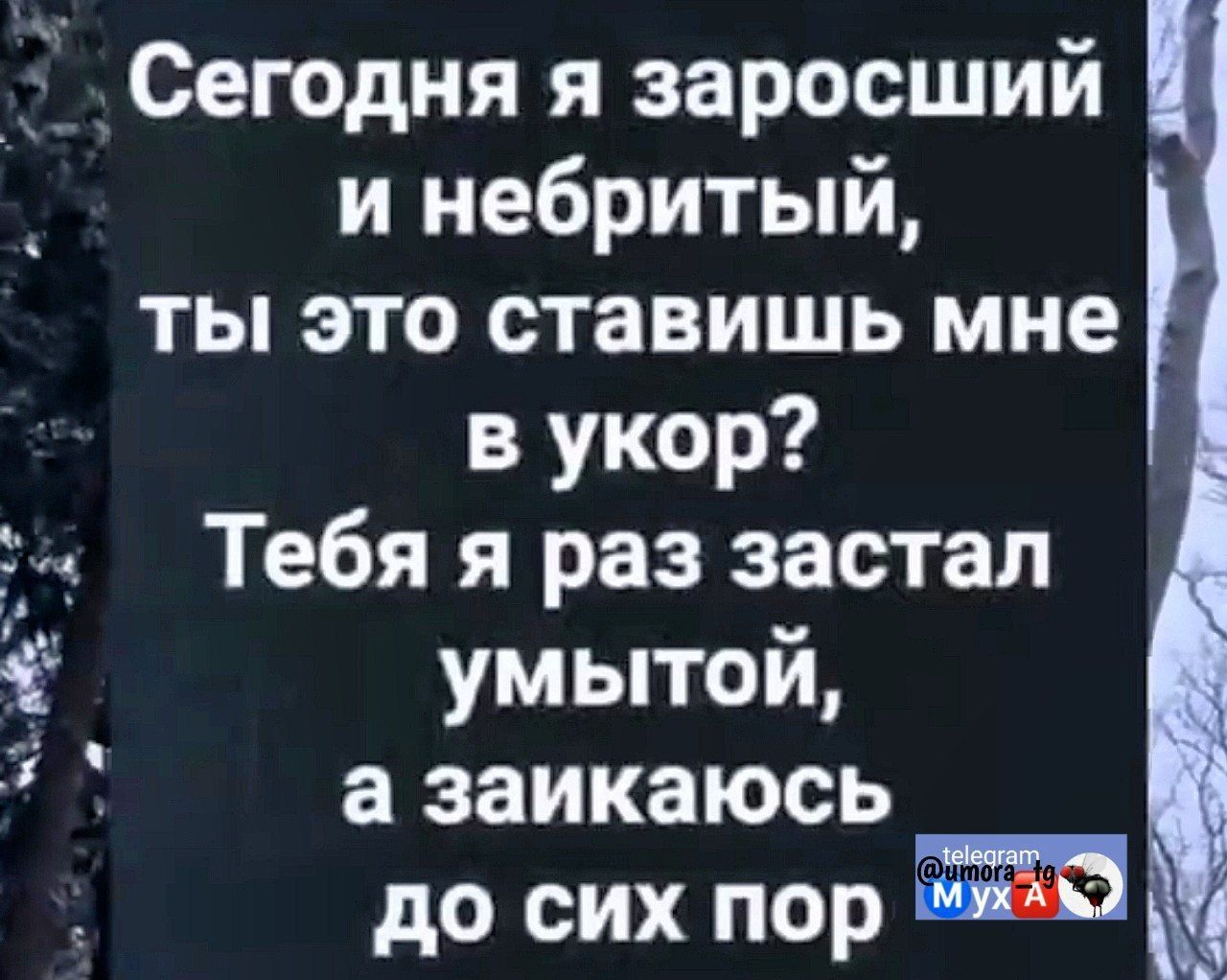 Сегодня я заросший и небритый, ты это ставишь мне в укор? Тебя я раз застал умытой, а заикаюсь до сих пор