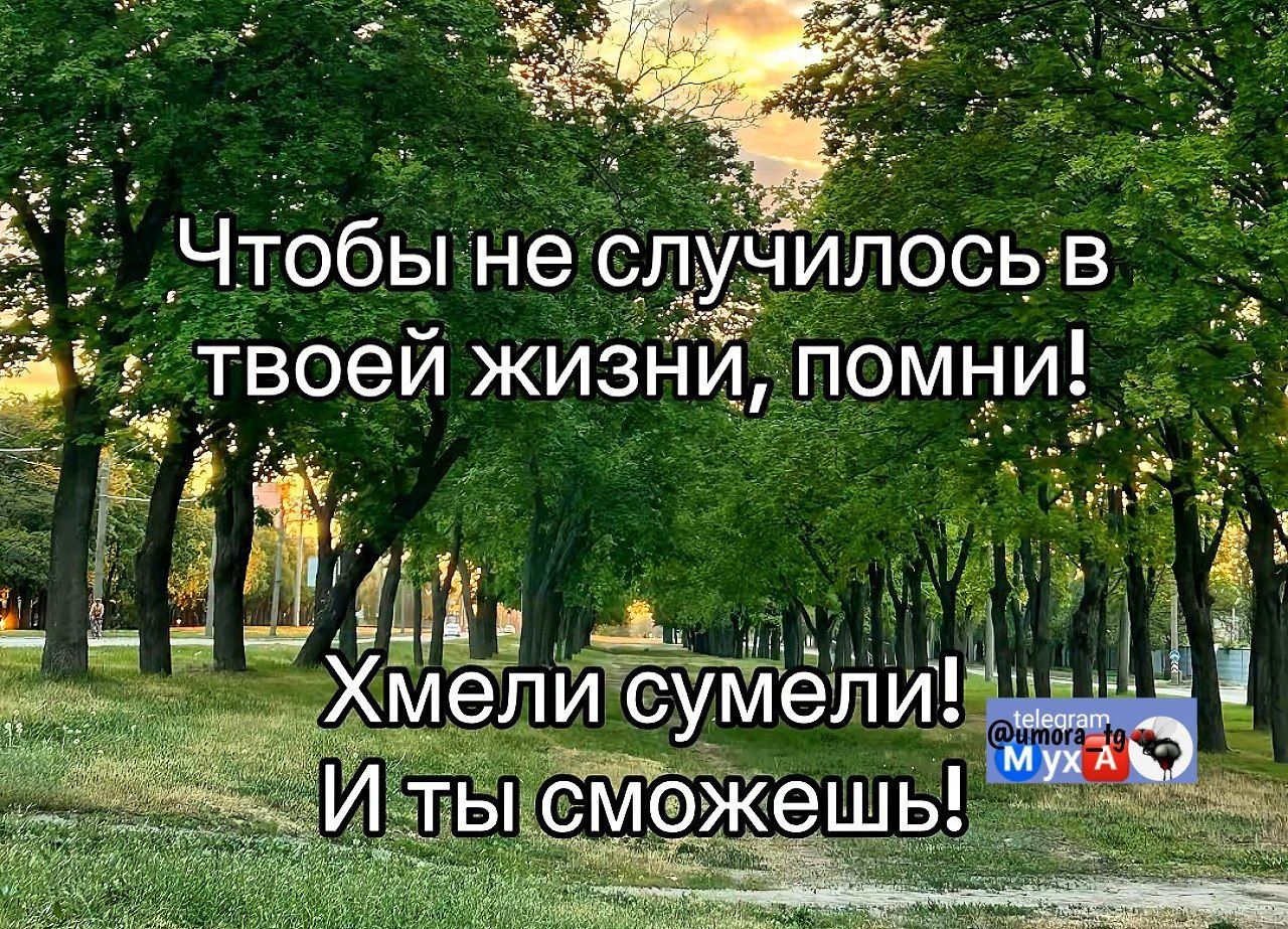 Чтобы не случилось в твоей жизни, помни! Хмели сумели! И ты сможешь!