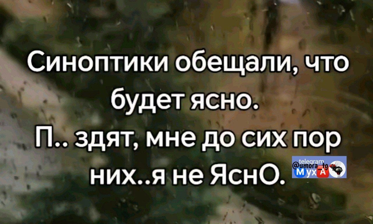 Синоптики обещали, что будет ясно.
П.. здят, мне до сих пор них..я не ЯснО.