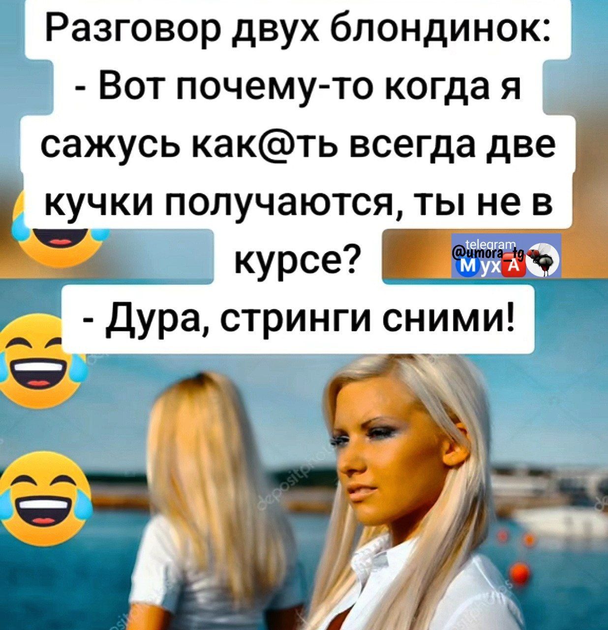 Разговор двух блондинок: - Вот почему-то когда я сажусь как@ть всегда две кучки получаются, ты не в курсе? - Дура, стринги снимии!