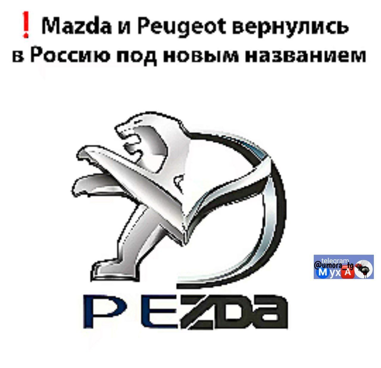 Mazda и Peugeot вернулись в Россию под новым названием
