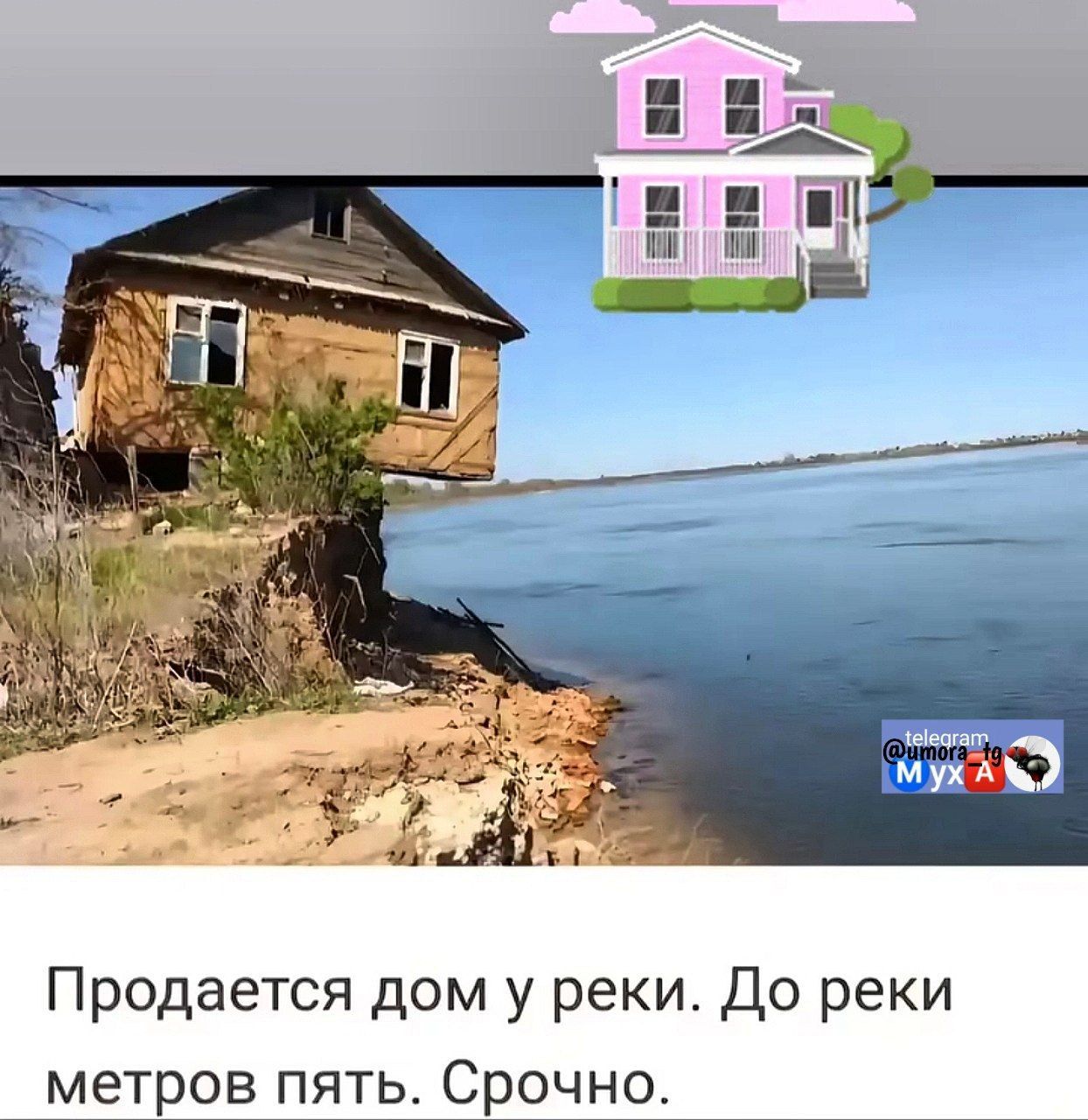 Продается дом у реки. До реки метров пять. Срочно.
