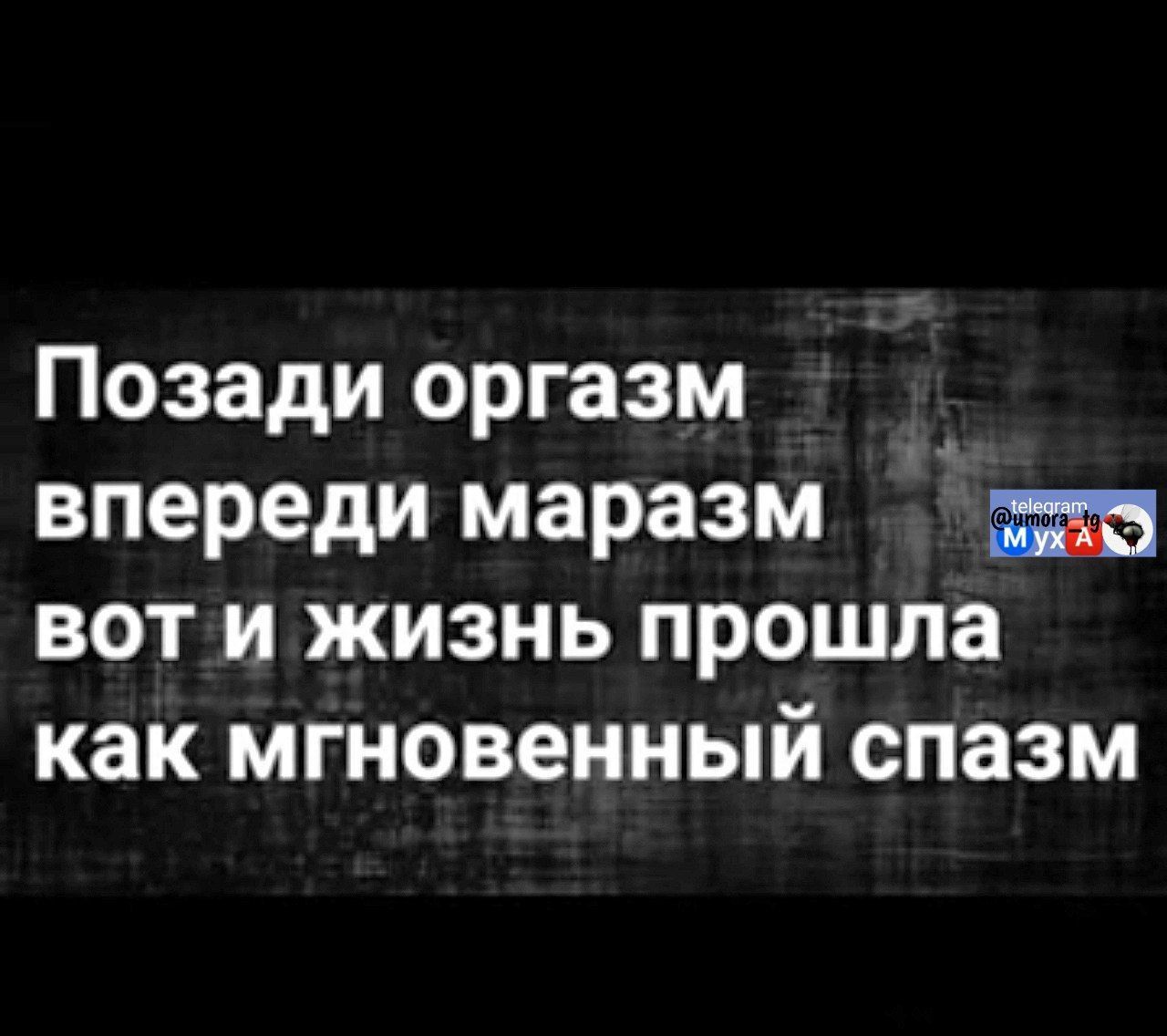Позади оргазм впереди маразм вот и жизнь прошла как мгновенный спазм
