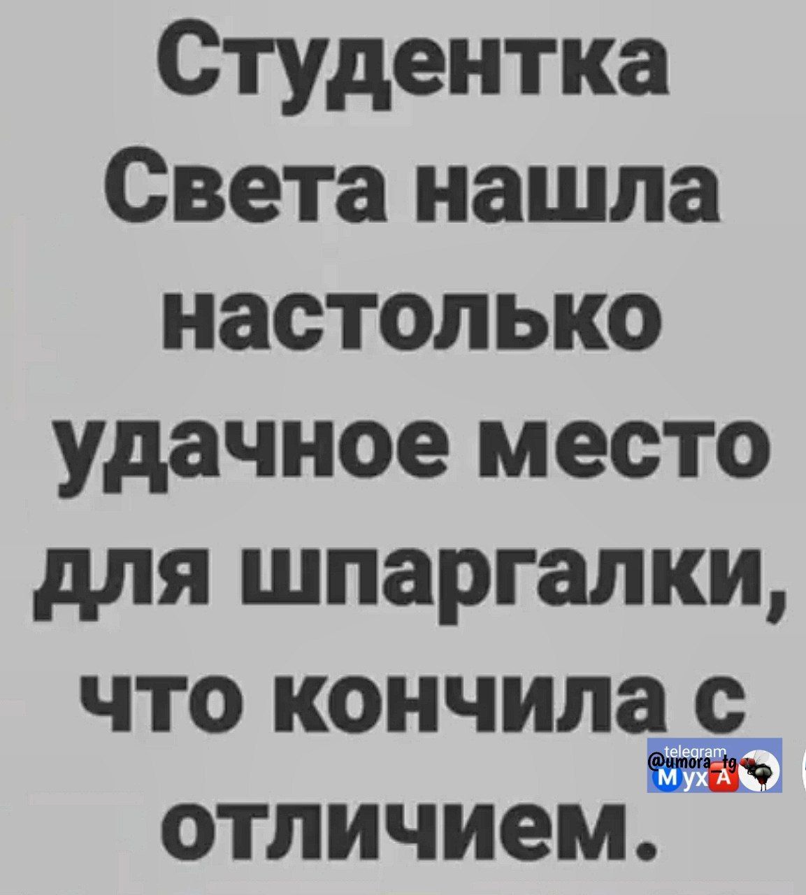 Студентка Света нашла настолько удачное место для шпаргалки, что кончила с отличием.
