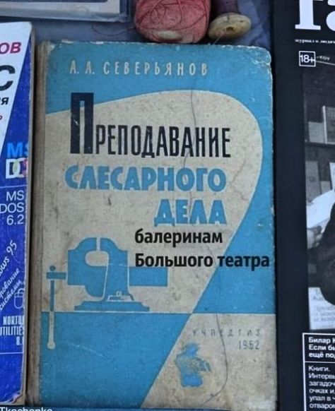 А.А. Северьянов

ПРЕПОДАВАНИЕ
СЛЕСАРНОГО
ДЕЛА
балеринам
Большого театра

Четырнадцать 1962