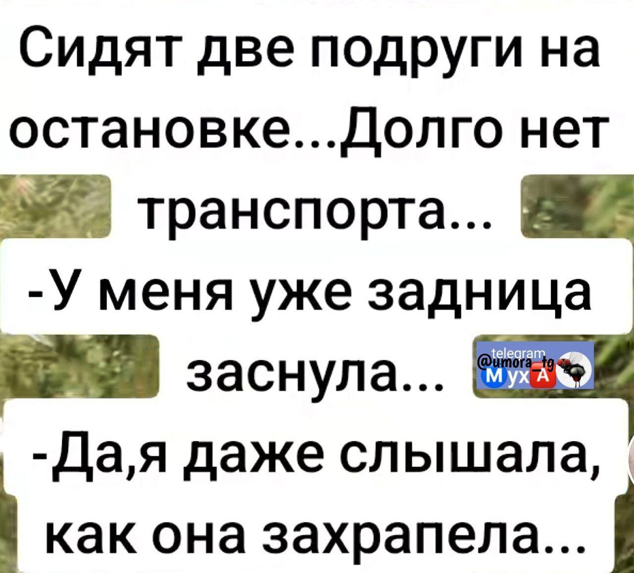 Сидят две подруги на остановке...Долго нет транспорта...
-У меня уже задница заснула...
-Да, я даже слышала, как она захрапела...