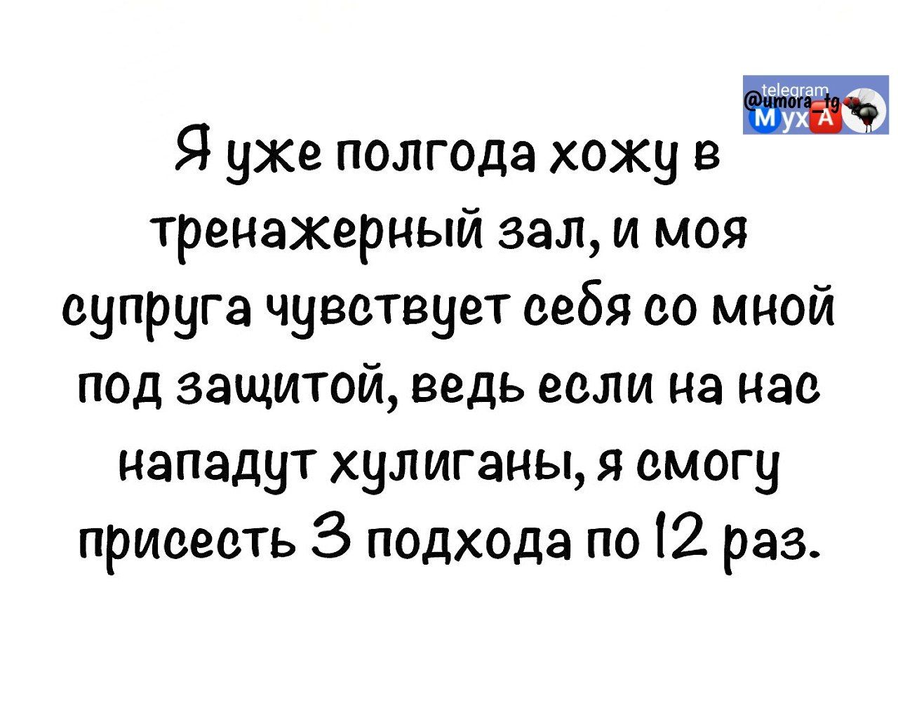 Я уже полгода хожу в тренажерный зал, и моя супруга чувствует себя со мной под защитой, ведь если на нас нападут хулиганы, я смогу присесть 3 подхода по 12 раз.