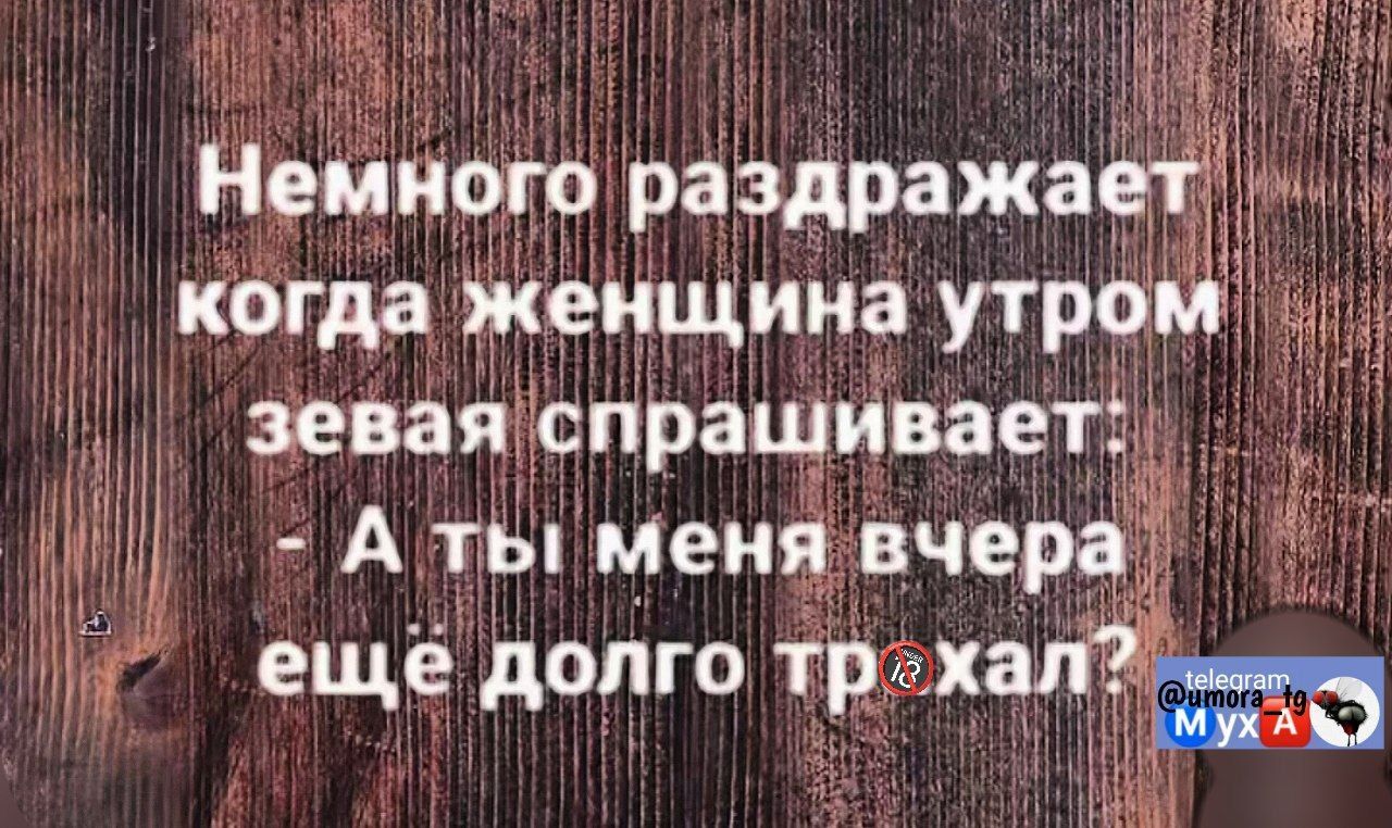 Немного раздражает когда женщина утром зевая спрашивает. - А ты меня вчера ещё долго трахал?