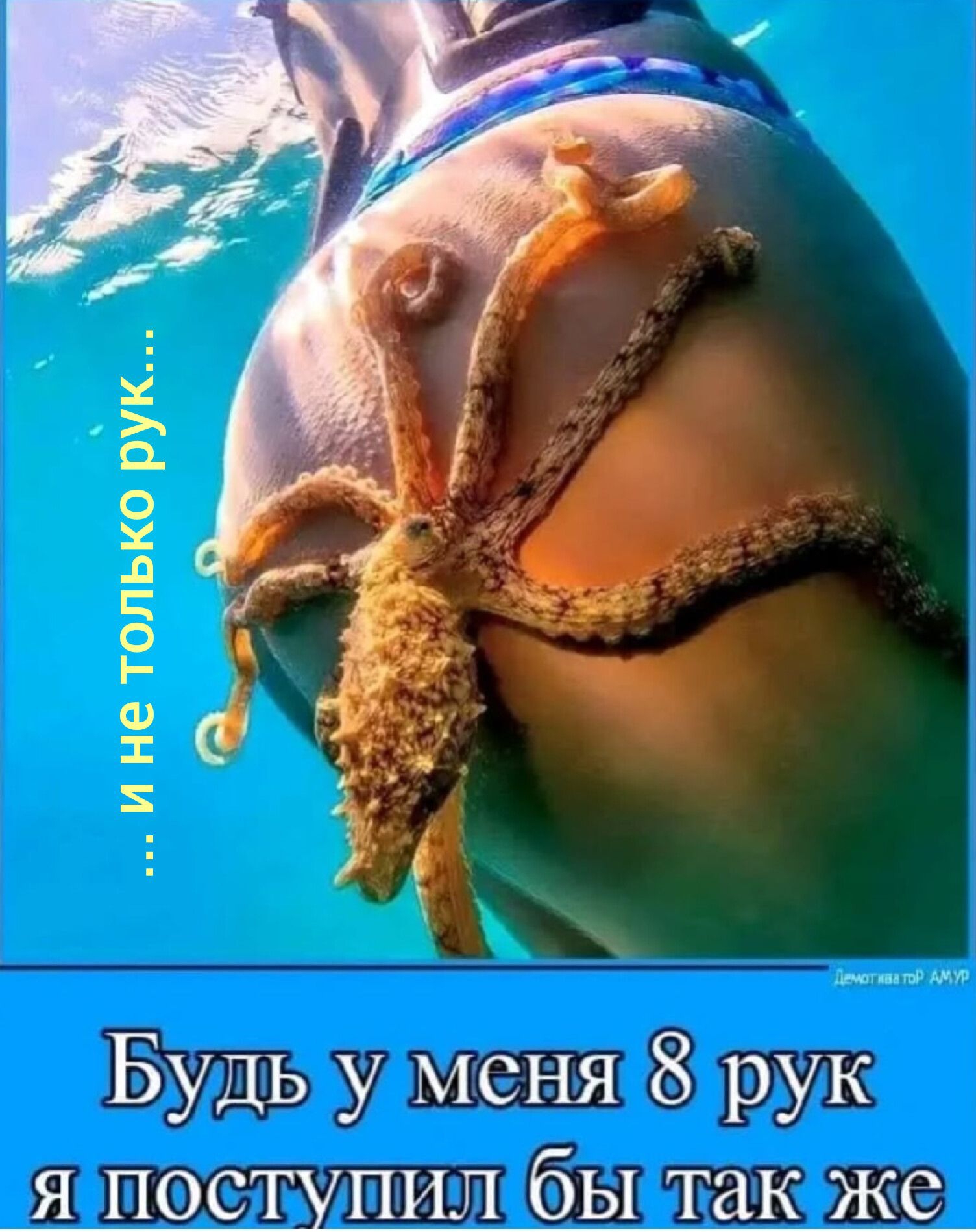 Будь у меня 8 рук я поступил бы так же
... и не только рук...