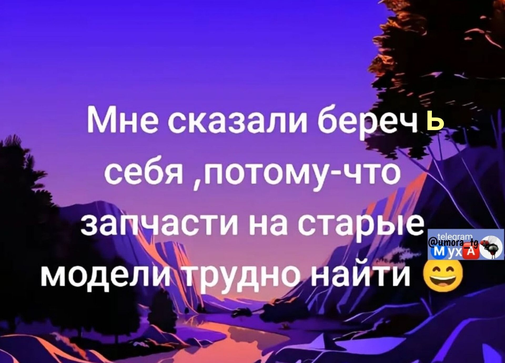 Мне сказали беречь себя, потому-что запчасти на старые модели трудно найти 😄