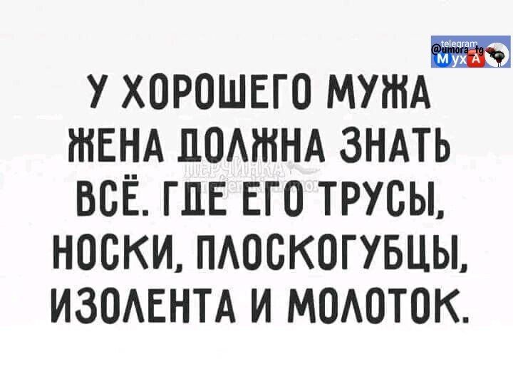 У хорошего мужа жена должна знать всё. Где его трусы, носки, плоскогубцы, изолента и молоток.