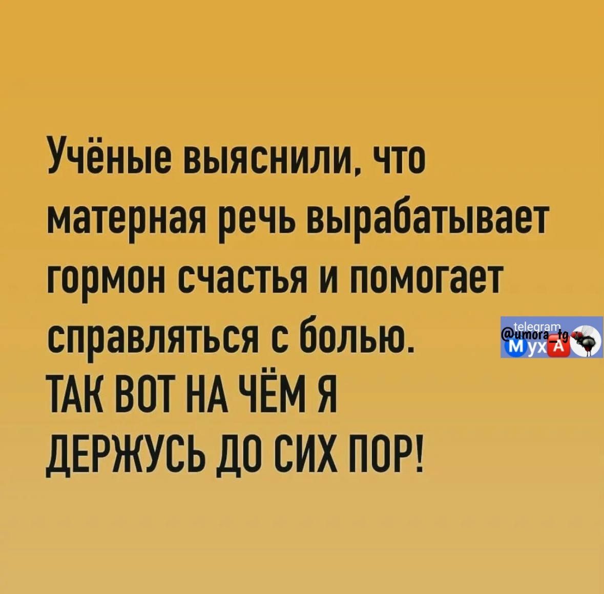 Учёные выяснили, что матёрная речь вырабатывает гормон счастья и помогает справляться с болью. ТАК ВОТ НА ЧЁМ Я ДЕРЖУСЬ ДО СИХ ПОР!
