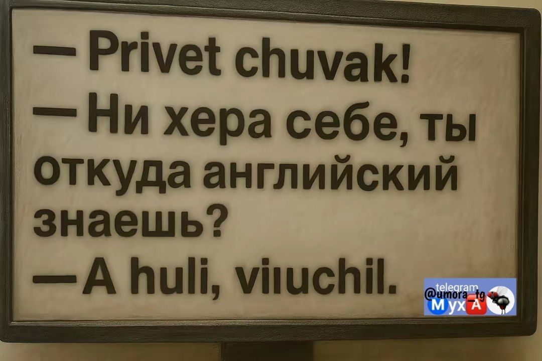 Privet chuvak! — Ни хера себе, ты откуда английский знаешь? — A huli, viu chil.