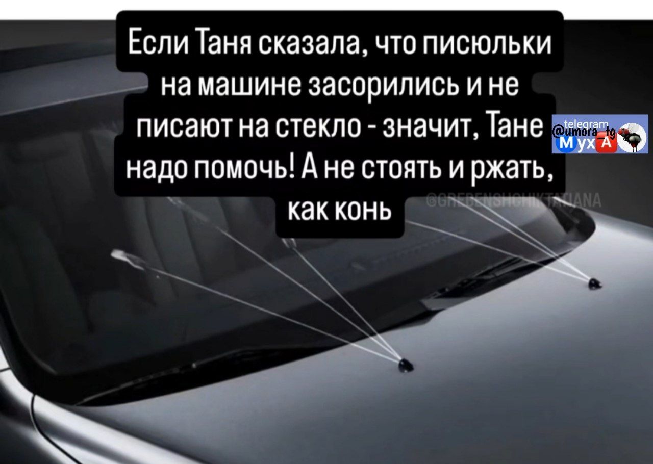Если Таня сказала, что писюльки на машине засорились и не пишут на стекло - значит, Тане надо помочь! А не стоять и ржать, как конь