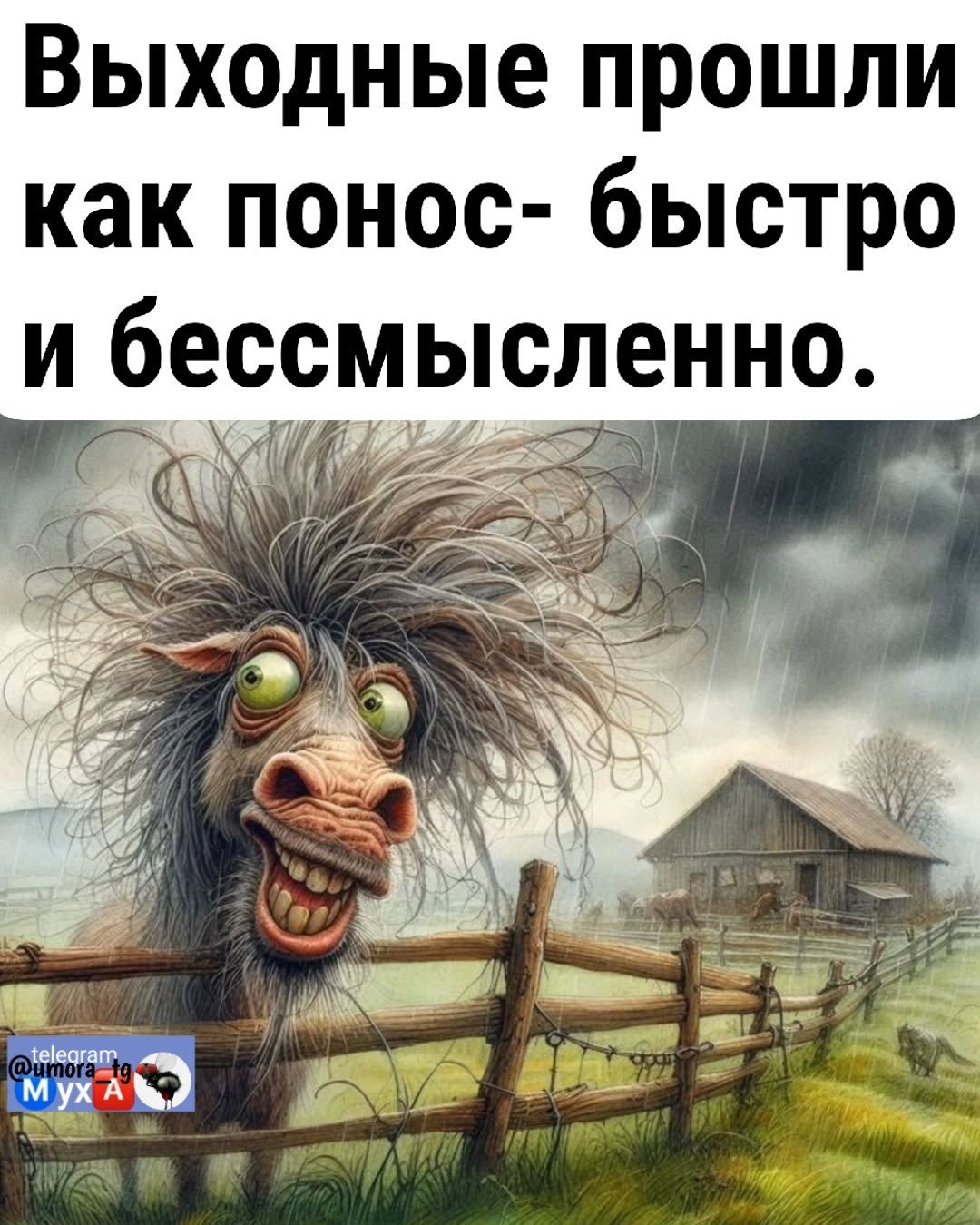 Выходные прошли как понос- быстро и бессмысленно.
