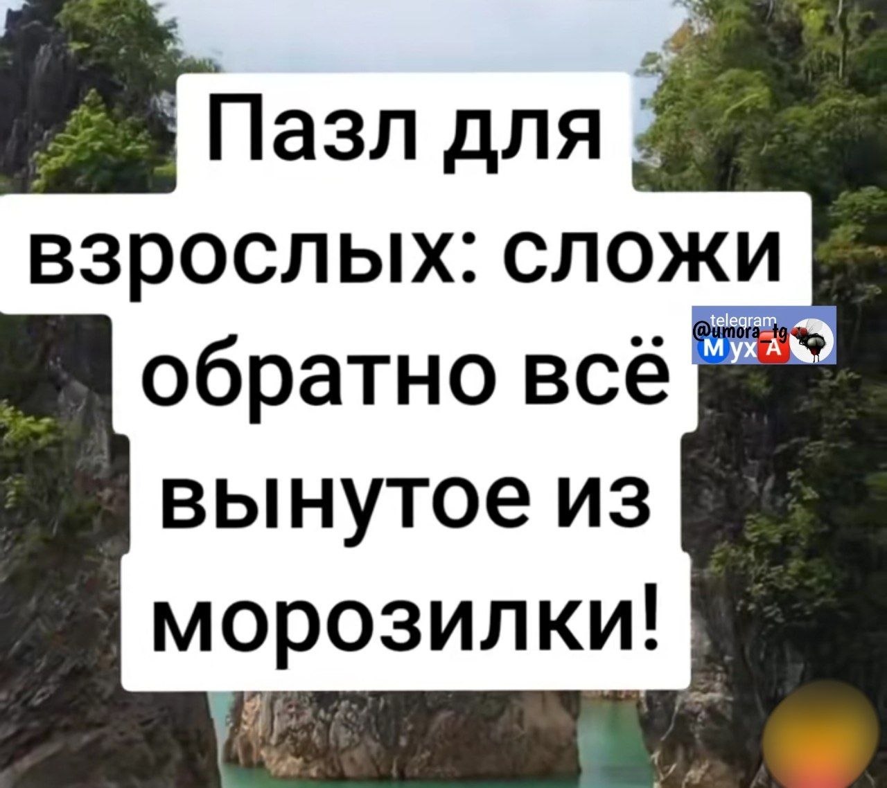 Пазл для взрослых: сложи обратно всё вынутое из морозилки!