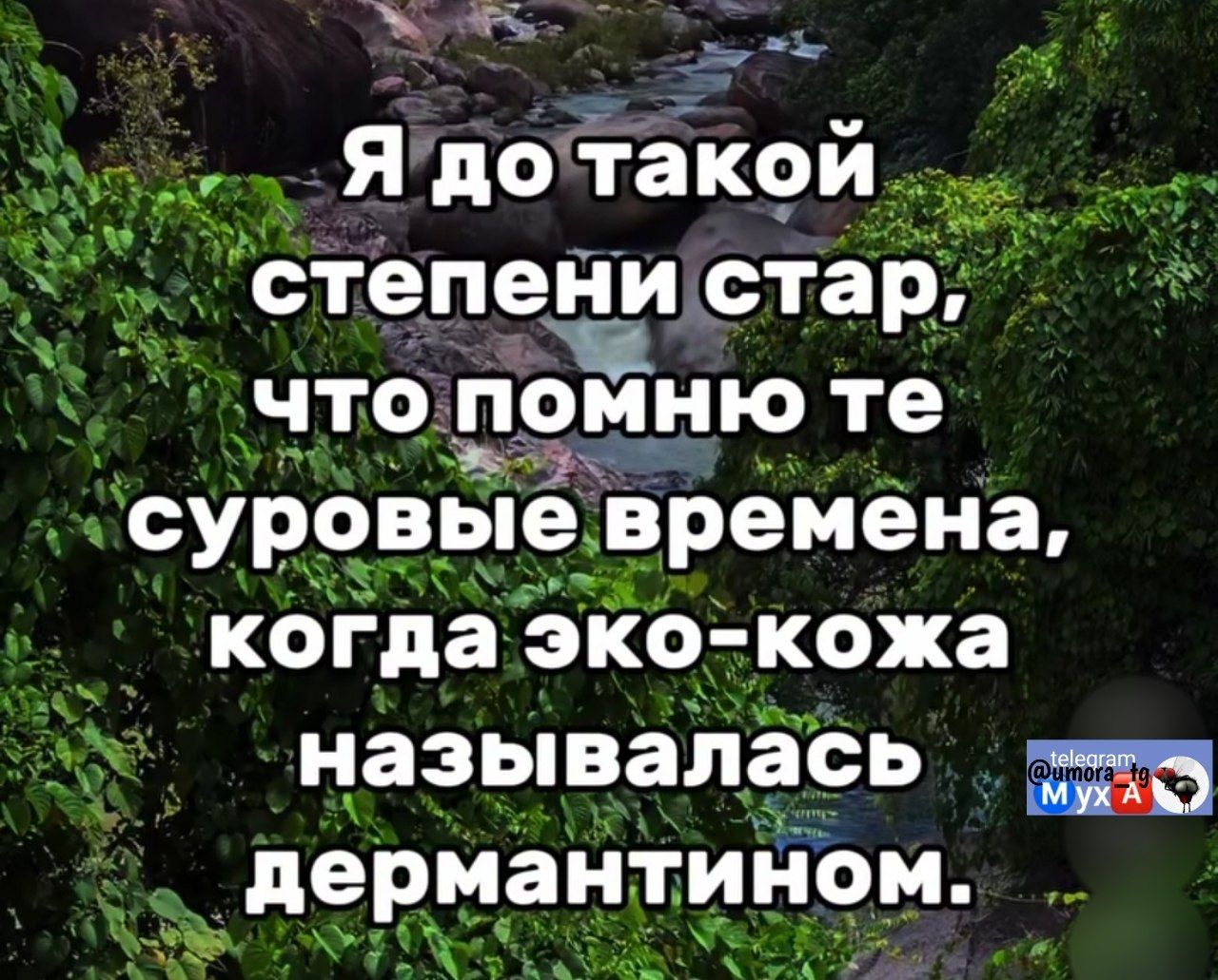 Я до такой степени стар, что помню те суровые времена, когда эко-кожа называлась дермантином.