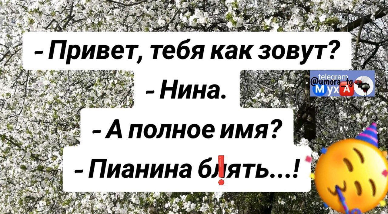 - Привет, тебя как зовут?  - Нина.  - А полное имя?  - Пианина блять...!