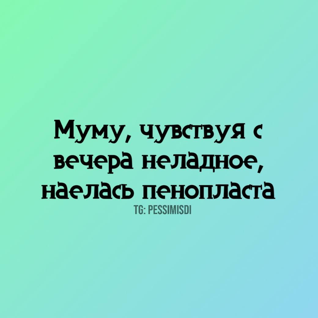 Муму, чувствуя с вечера неладное, наелась пенопласта