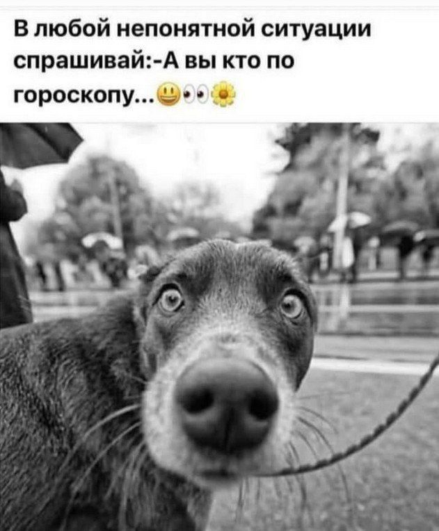 В любой непонятной ситуации спрашивай: -А вы кто по гороскопу...