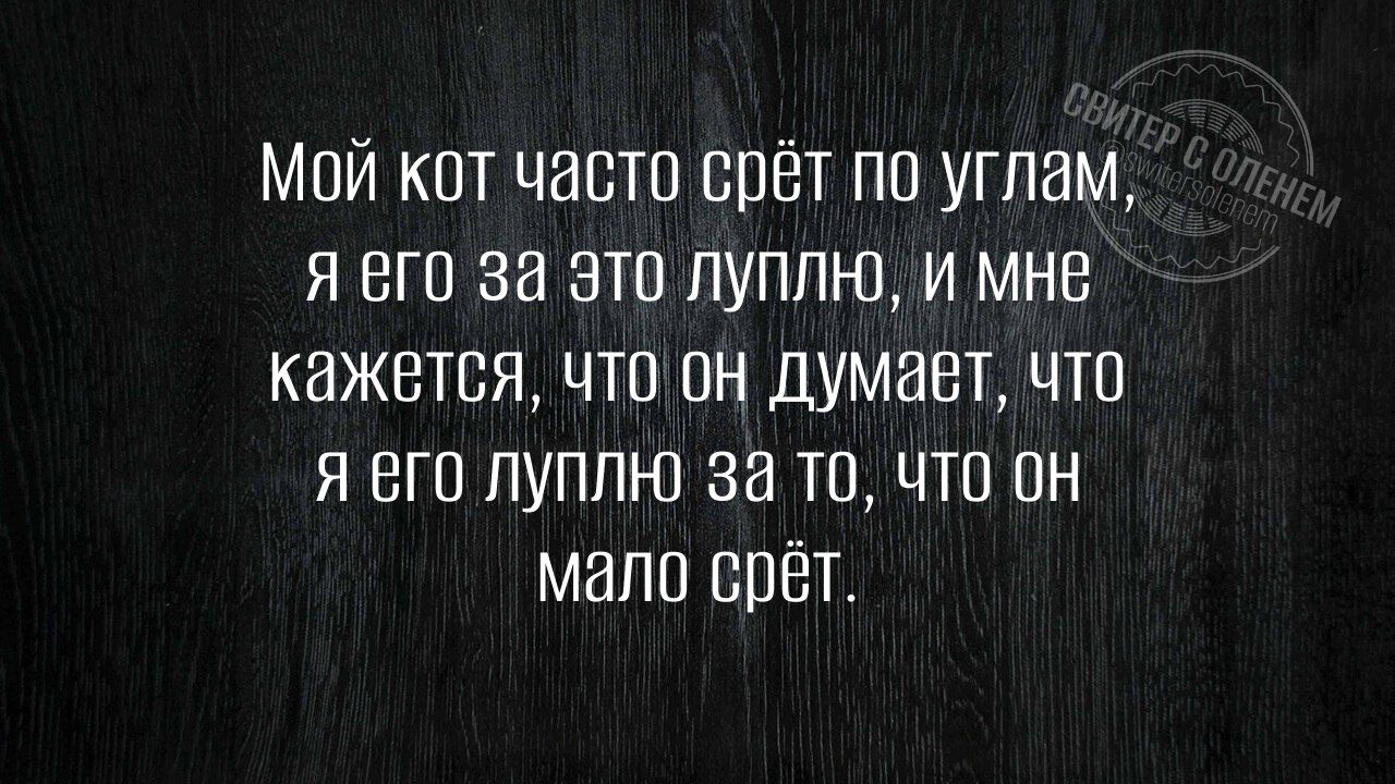 Мой кот часто срет по углам, я его за это луплю, и мне кажется, что он думает, что я его луплю за то, что он мало срёт.