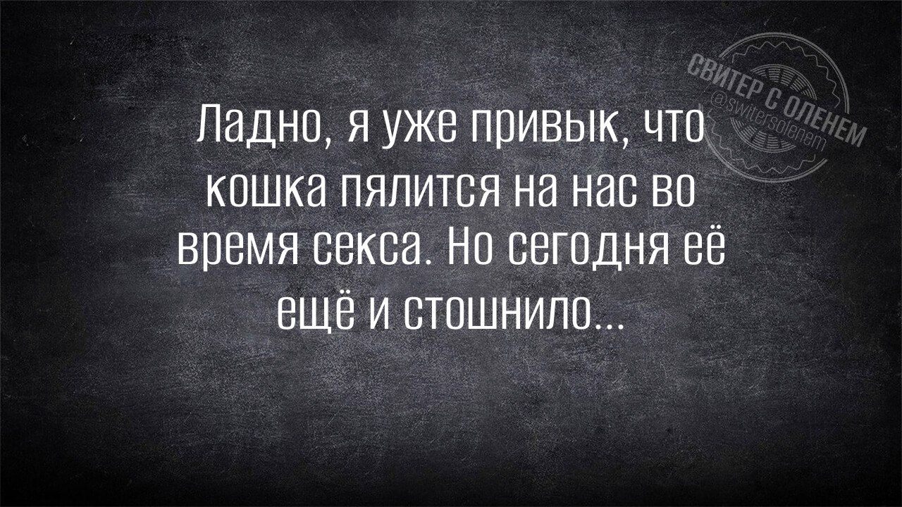 Ладно, я уже привык, что кошка пялится на нас во время секса. Но сегодня её ещё и стошнило...