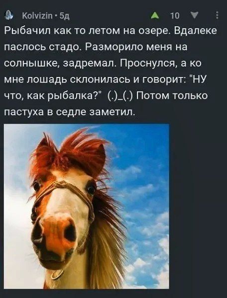 Рыбачил как то летом на озере. Вдалеке паслось стадо. Разморио меня на солнышке, задремал. Проснулся, а ко мне лошадь склонилась и говорит: 