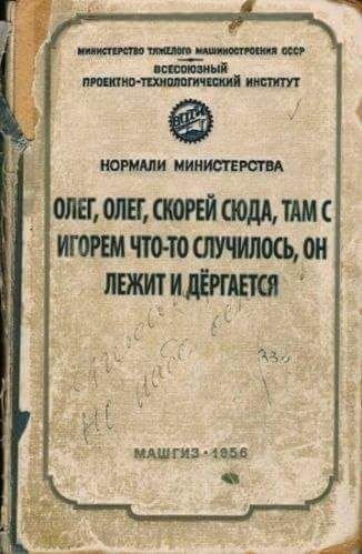 Олег, Олег, скорее сюда, там с Игорем что-то случилось, он лежит и дергается