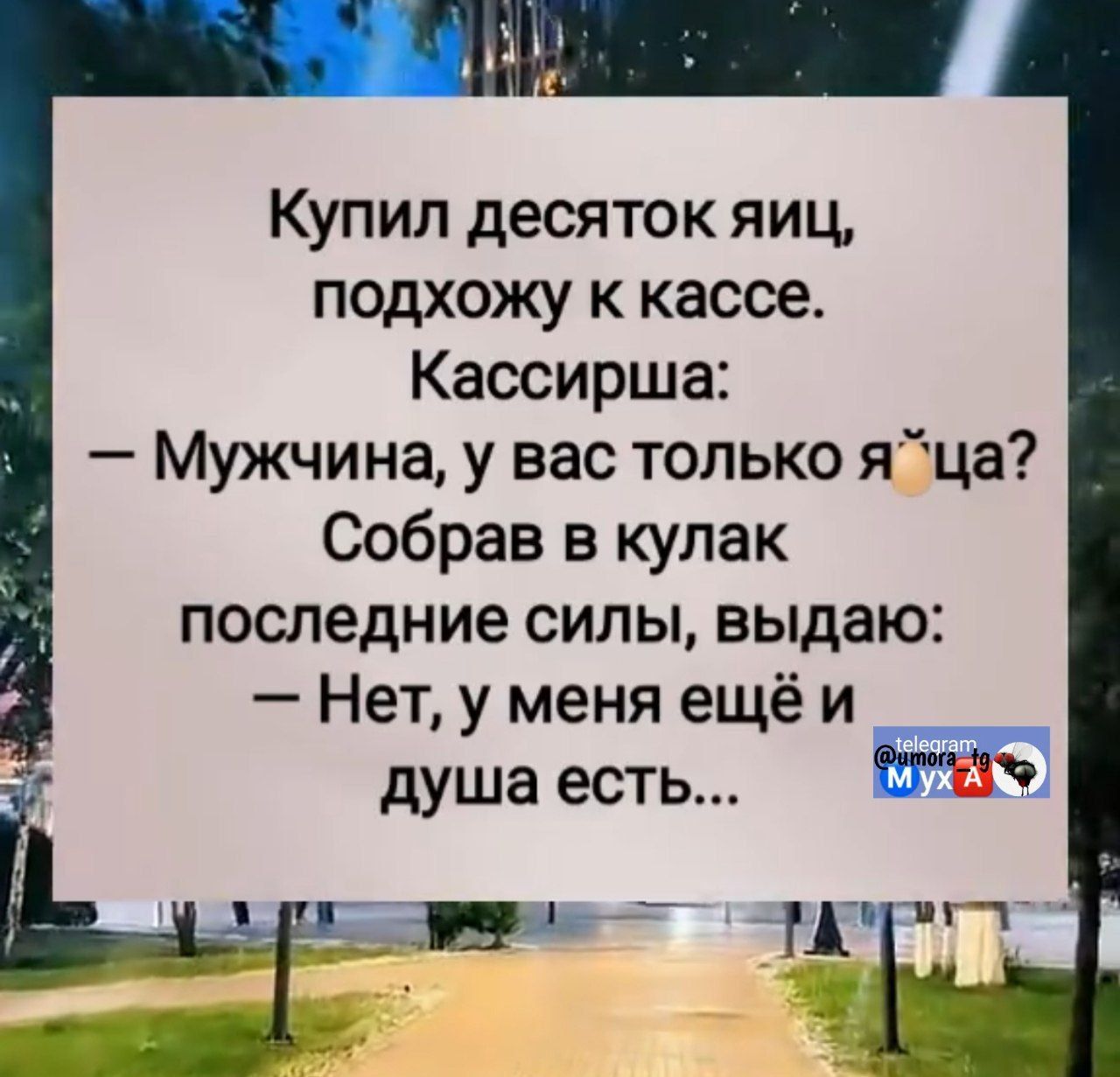 Купил десяток яиц, подхожу к кассе. Кассирша: — Мужчина, у вас только яйца? Собрав в кулак последние силы, выдаю: — Нет, у меня ещё и душа есть...