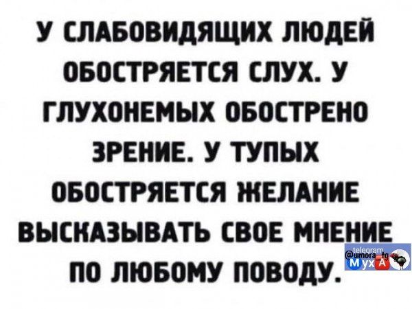 У слабовидящих людей обостряется слух. У глухонемых обострено зрение. У тупых обостряется желание высказывать свое мнение по любому поводу.