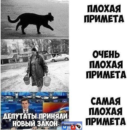 ПЛОХАЯ ПРИМЕТА
ОЧЕНЬ ПЛОХАЯ ПРИМЕТА
САМАЯ ПЛОХАЯ ПРИМЕТА
ДЕПУТАТЫ ПРИНЯЛИ НОВЫЙ ЗАКОН