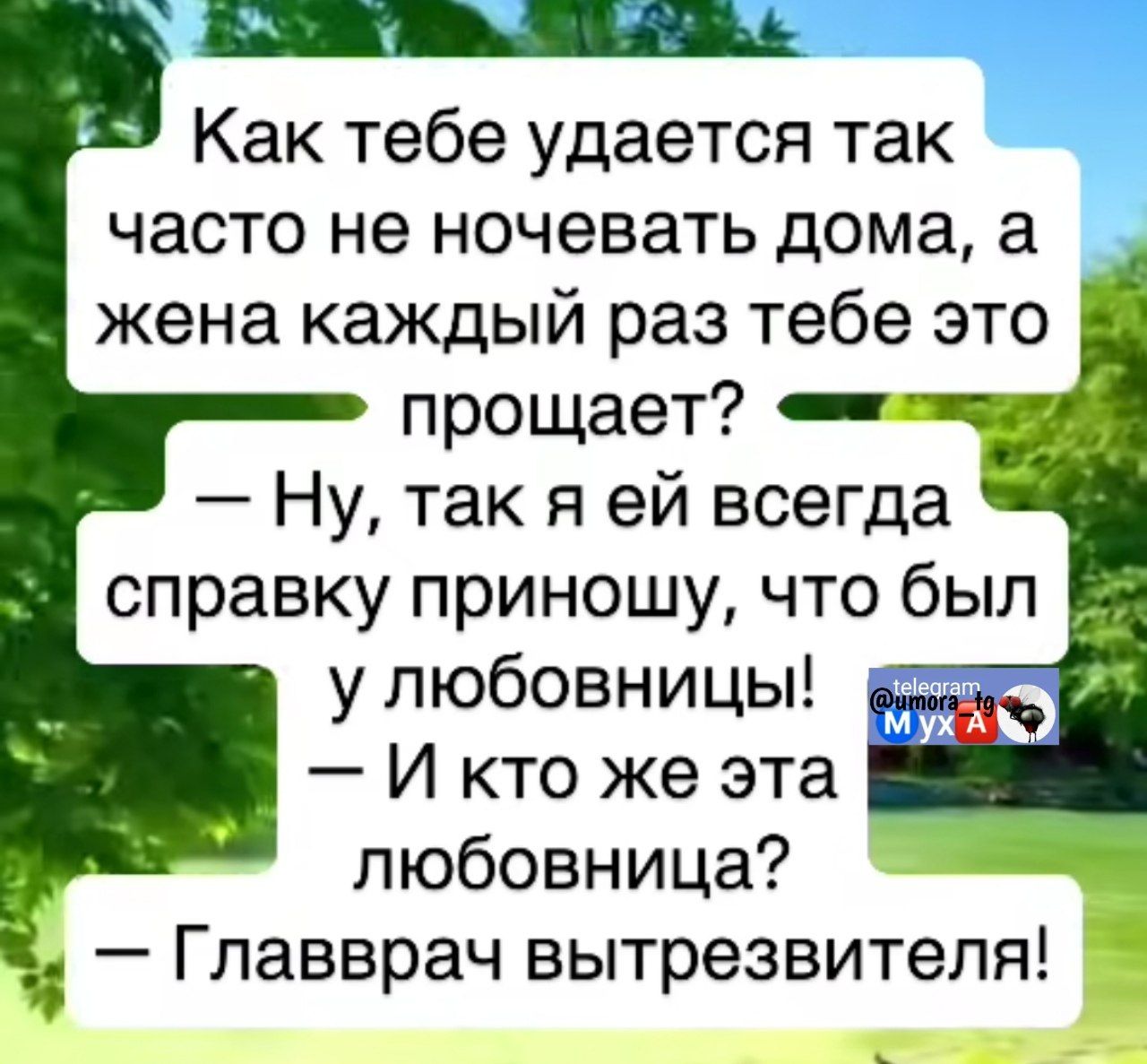 Как тебе удается так часто не ночевать дома, а жена каждый раз тебе это прощает?
— Ну, так я ей всегда справку приношу, что был у любовницы!
— И кто же эта любовница?
— Главврач вытрезвителя!