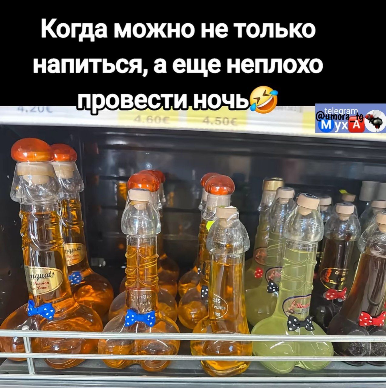 Когда можно не только напиться, а еще неплохо провести ночь😂