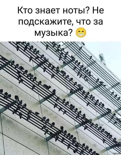 Кто знает ноты? Не подскажите, что за музыка? 😁