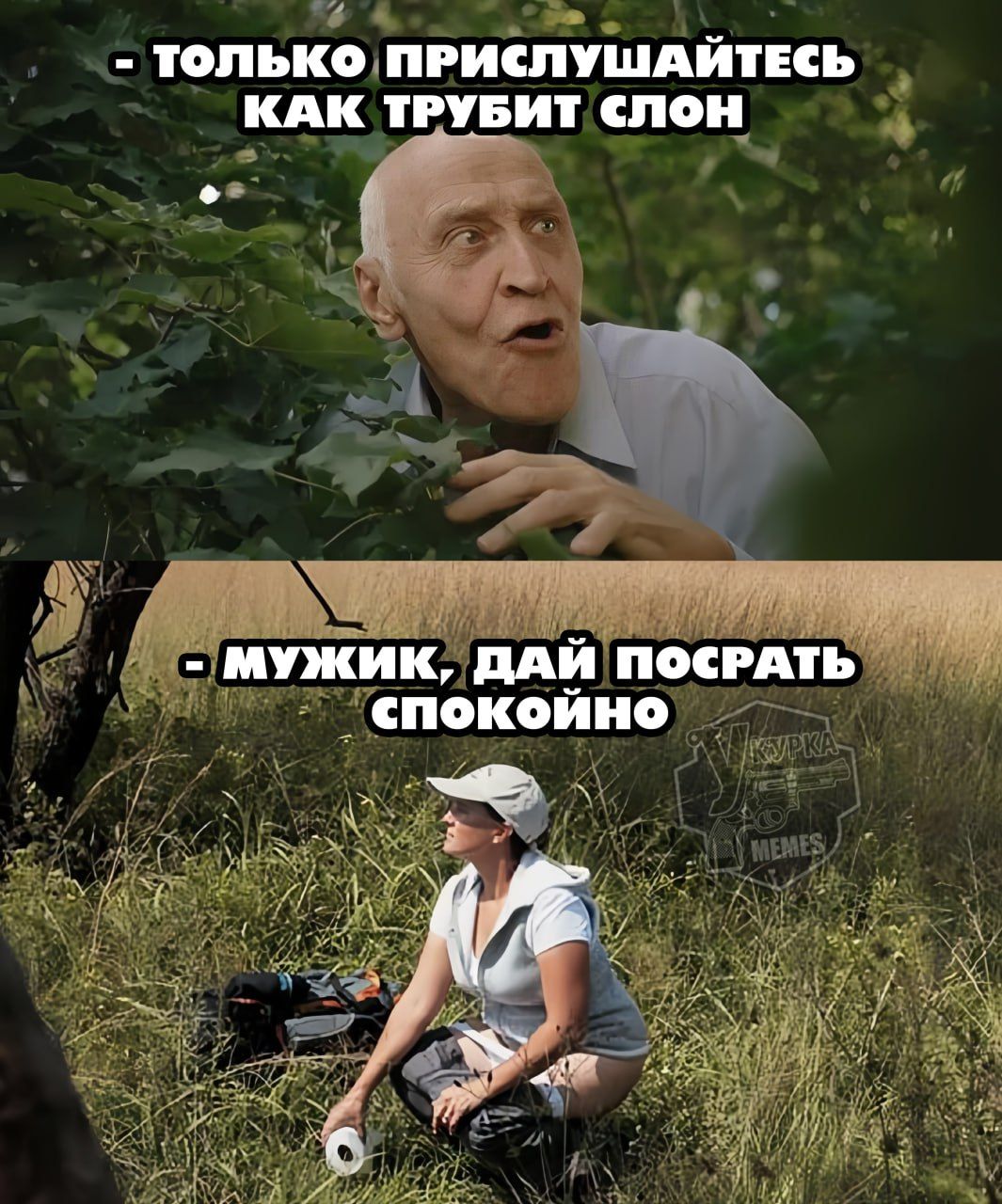 ТОЛЬКО ПРИСЛУШАЙТЕСЬ КАК ТРУБИТ СЛОН
- МУЖИК, ДАЙ ПОСРАТЬ СПОКОЙНО