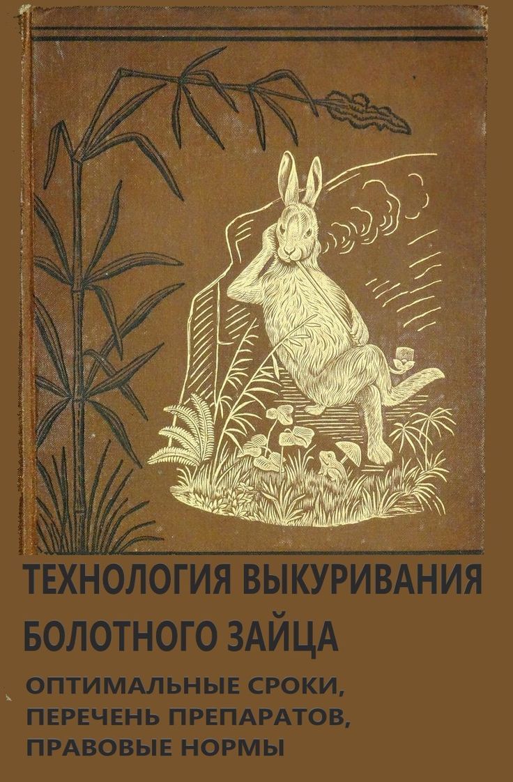 ТЕХНОЛОГИЯ ВЫКУРИВАНИЯ БОЛОТНОГО ЗАЙЦА
ОПТИМАЛЬНЫЕ СРОКИ, ПЕРЕЧЕНЬ ПРЕПАРАТОВ, ПРАВОВЫЕ НОРМЫ