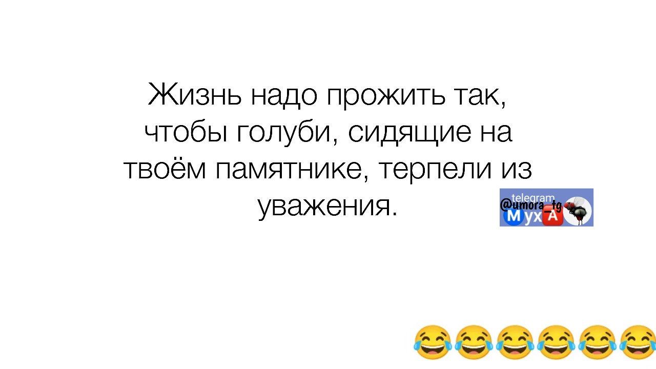 Жизнь надо прожить так, чтобы голуби, сидящие на твоём памятнике, терпели из уважения.