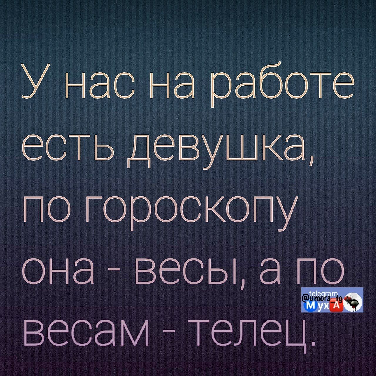 У нас на работе есть девушка, по гороскопу она - весы, а по весам - телец.